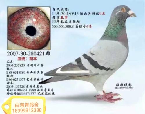 ��һ����