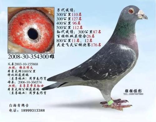 �ڶ�����