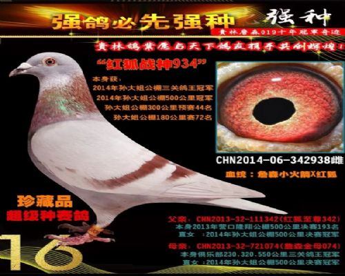 δ����