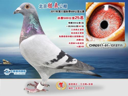 ����������־��+���