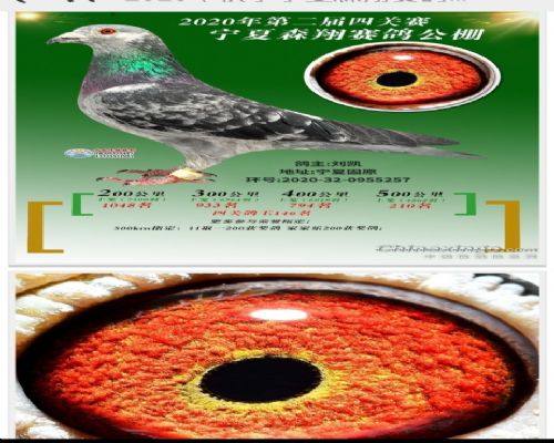 ��һ����