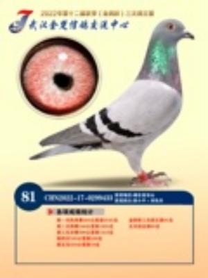 ³������