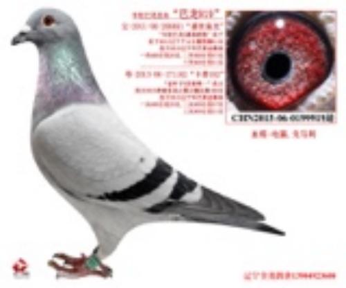 ����662����920��ͬ����