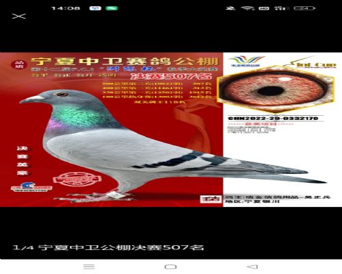 ��Ī��*������