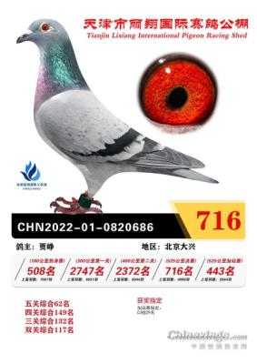 ����716��