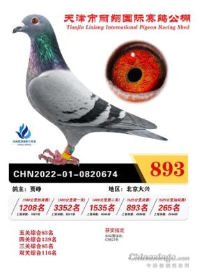 ����893��