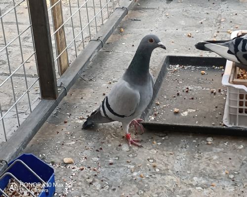 �����ذ����������