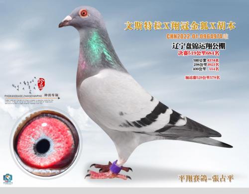 ��˹��������ڽ�������