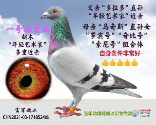 ��  ����