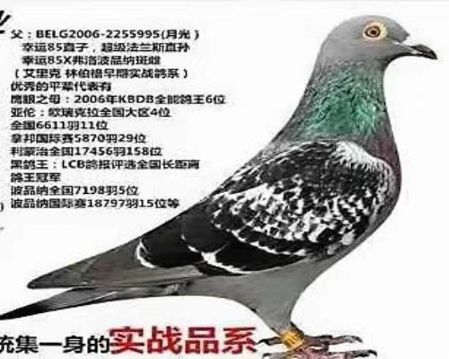 ��   �ֲ���