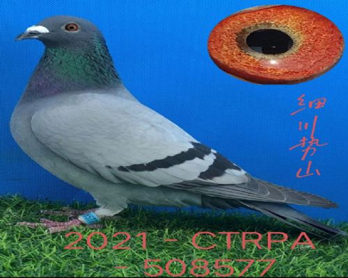 ��  ϸ����ɽ