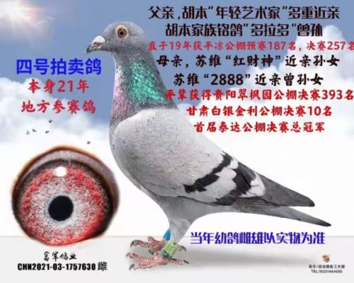 ��  ����