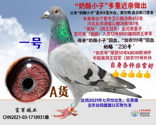 ��  ����