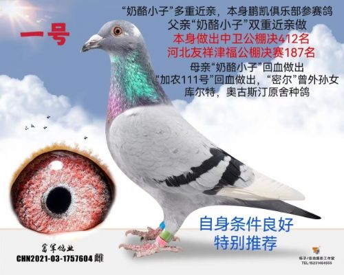 ��  ����