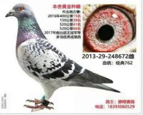 ��  ��ѫ�ϴ�