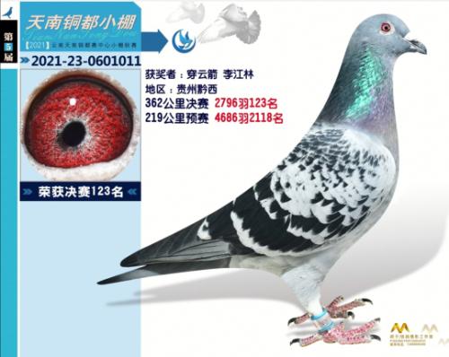 ��ĸ�� ɣ��ʿ