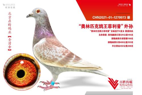 �����ָ�