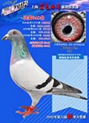 ����640��