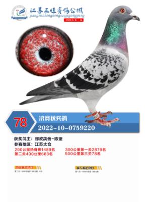 ����78��