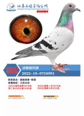 ����322��