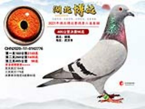 �ҵ�����