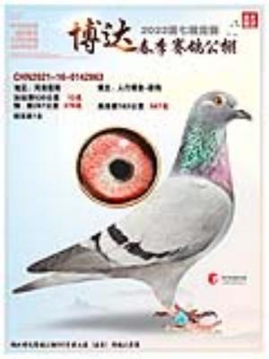 �ҵ�����