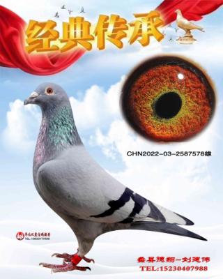 ׼���������õ�����