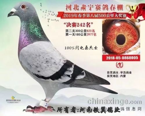 ����ɣ��ʿ