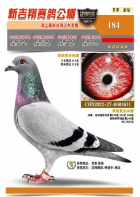 ��Ȫ�¼������빫��184��