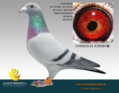 ��̨3000Ԫ�ر��ۺ�157��