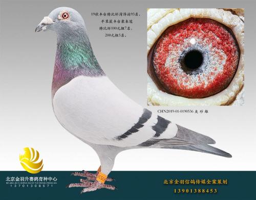 ��̨1000Ԫ�ر��ۺ�76��