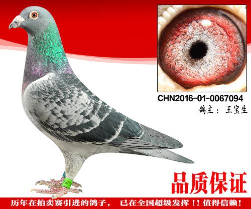 ����500Ԫ�ر�����98��