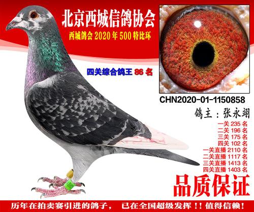 ����500Ԫ�ر��Ĺ��ۺ�86��