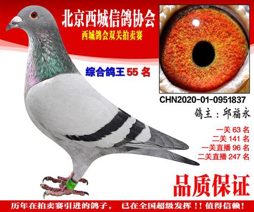 ����˫���ۺ�55��