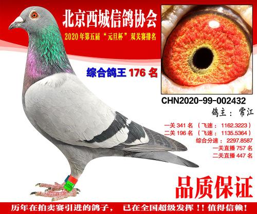 ����˫���ۺ�176��