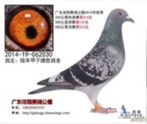 2014��Ũ�蹫դ���͸�