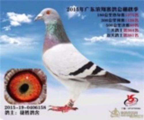 2015��Ũ�蹫դ���͸�