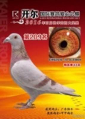 2016�￪����դ���͸�