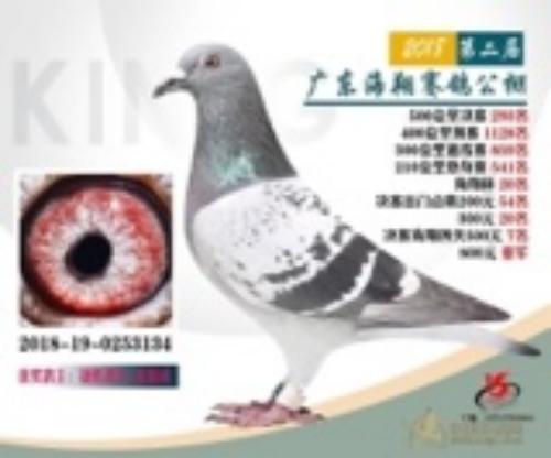 2018�ﺣ�蹫դ���͸�