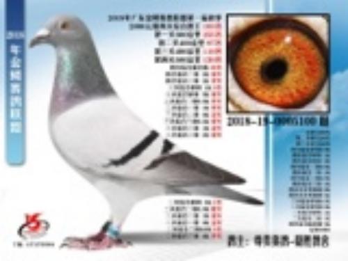 2018����ۼ��������͸�