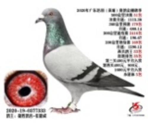 2020�������ҹ�դ���͸�