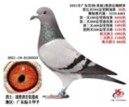 2021�������ҹ�դ���͸�