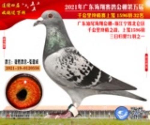 2021�ﺣ�蹫դ���͸�