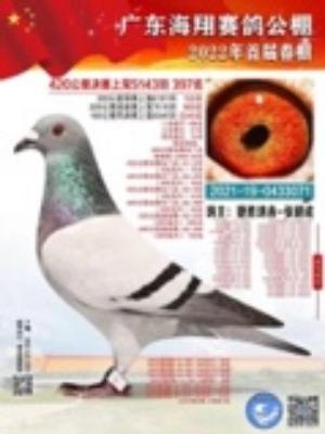 2022�����蹫դ���͸�