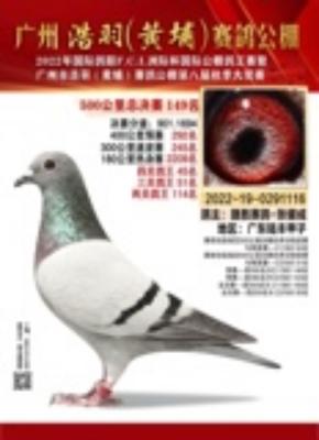 2022�������ҹ�դ���͸�