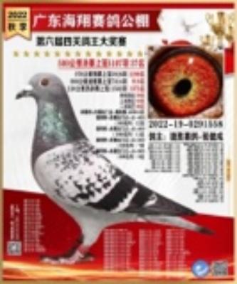 2022�ﺣ�蹫դ���͸�