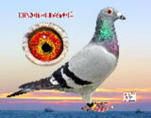 [���o��܊449]X����