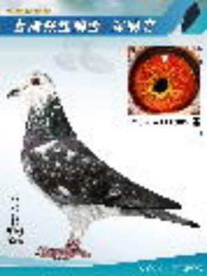 ���뻨����ֱ��[����719]X��