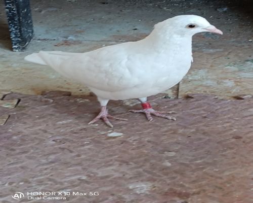 2022.12.22�����³�һ�����ŵ�һ�����