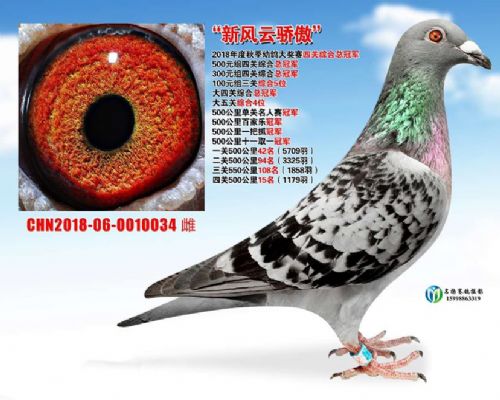 �Ĺظ����ھ� ��ظ���4